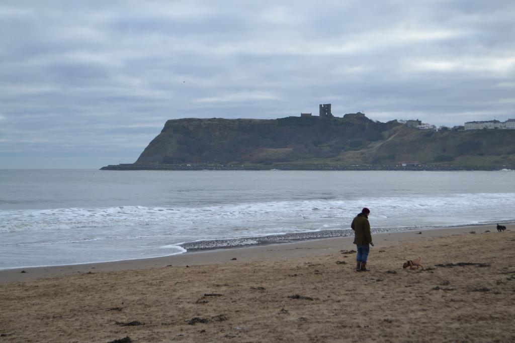 The Beaches Скарборо Экстерьер фото